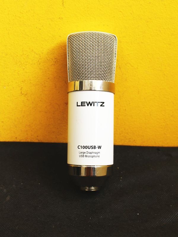 Lewitz C100USB-W USB Condenser Microphone